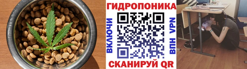 Печенье с ТГК конопля  Купить где  Котлас 