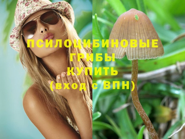 гидропоника Балабаново