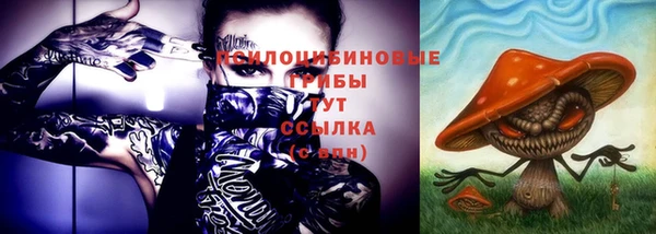 дмт Баксан